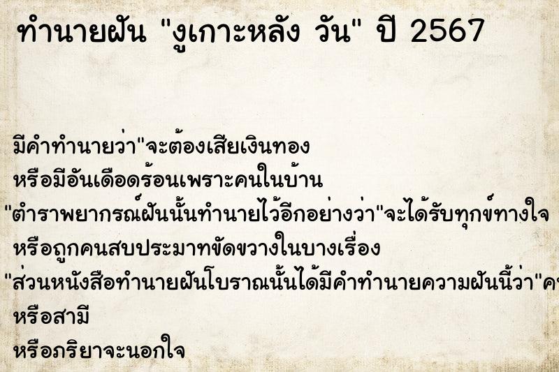 ทำนายฝันงูเกาะหลังวัน ทำนายฝันทำนายฝันงูเกาะหลังวัน